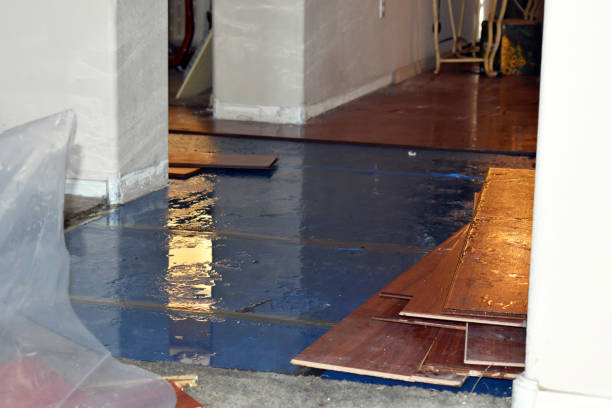 Professional Basement Water Removal technician working in Burlington, NC
