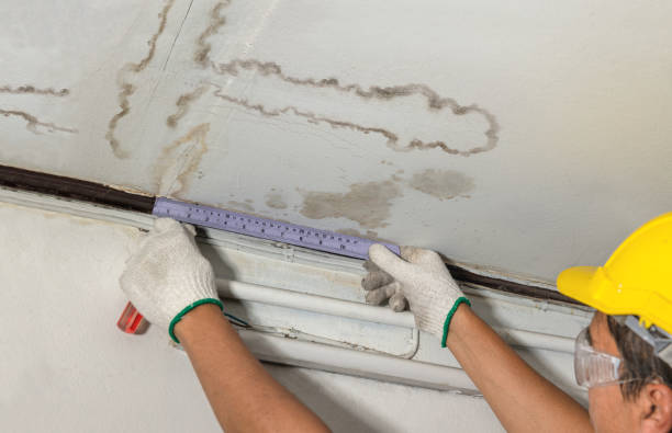 Reliable Basement Water Removal contractor in Burlington, NC by Water Damage Irwin